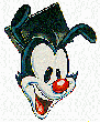 yakko